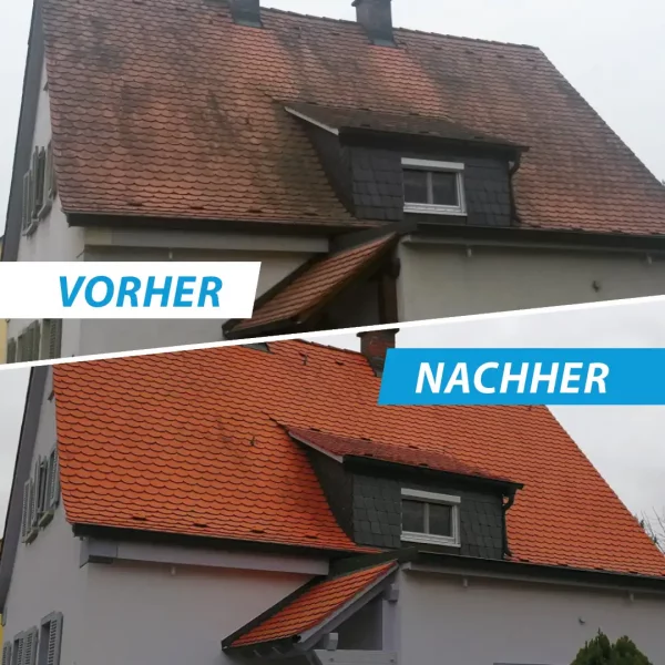 Dachziegel Reiniger vorher-nachher Vergleich Haus