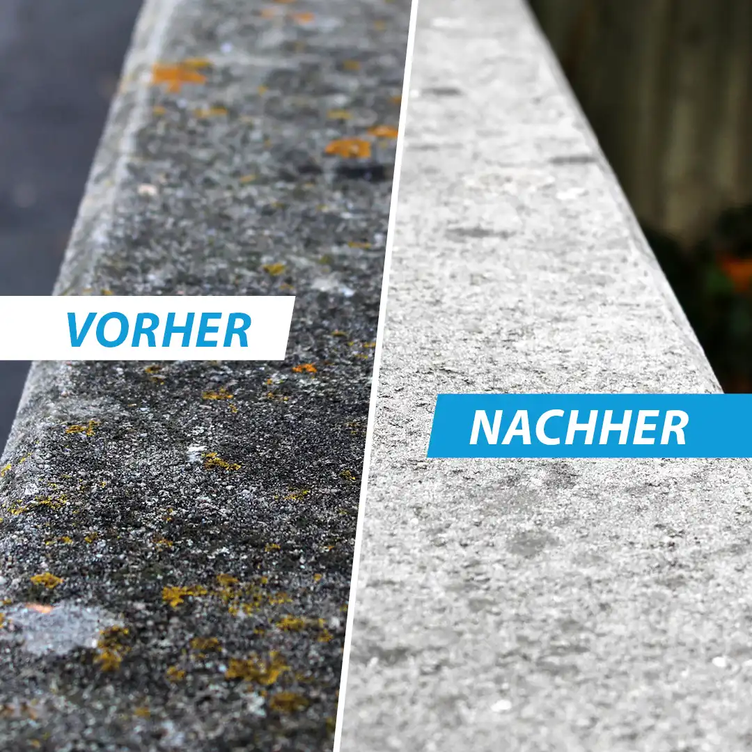 Flechtenentferner – Bild 3