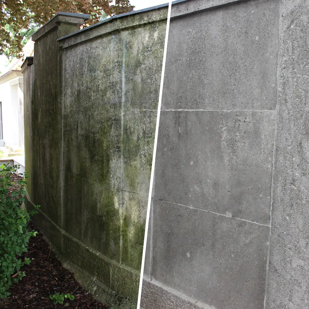 Vergleichseffekt gruener Belag vor und nach Anwendung Gruenbelagentferner.