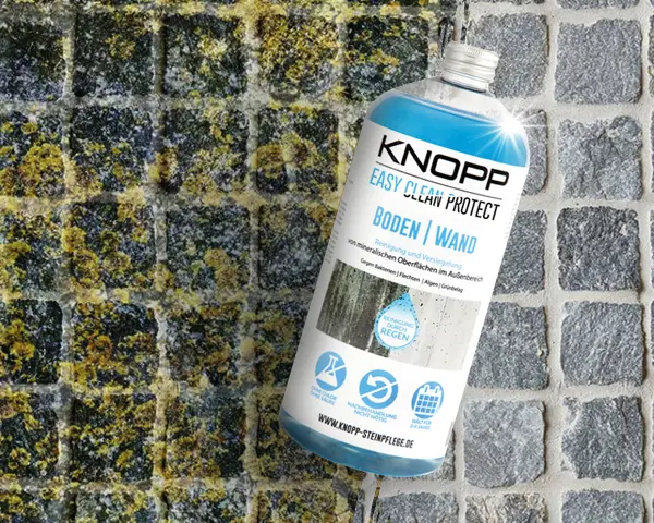 vorher nachher Pflasterstein Reinigung von Algen und Flechten mit dekorativer Flechtenenterner1 Liter Flasche.